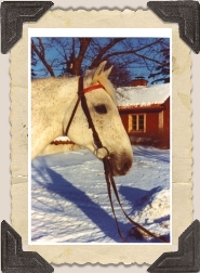 Foto: Angarns Ryttare © 