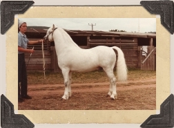 Foto: Viveka Karlestrand © 1983